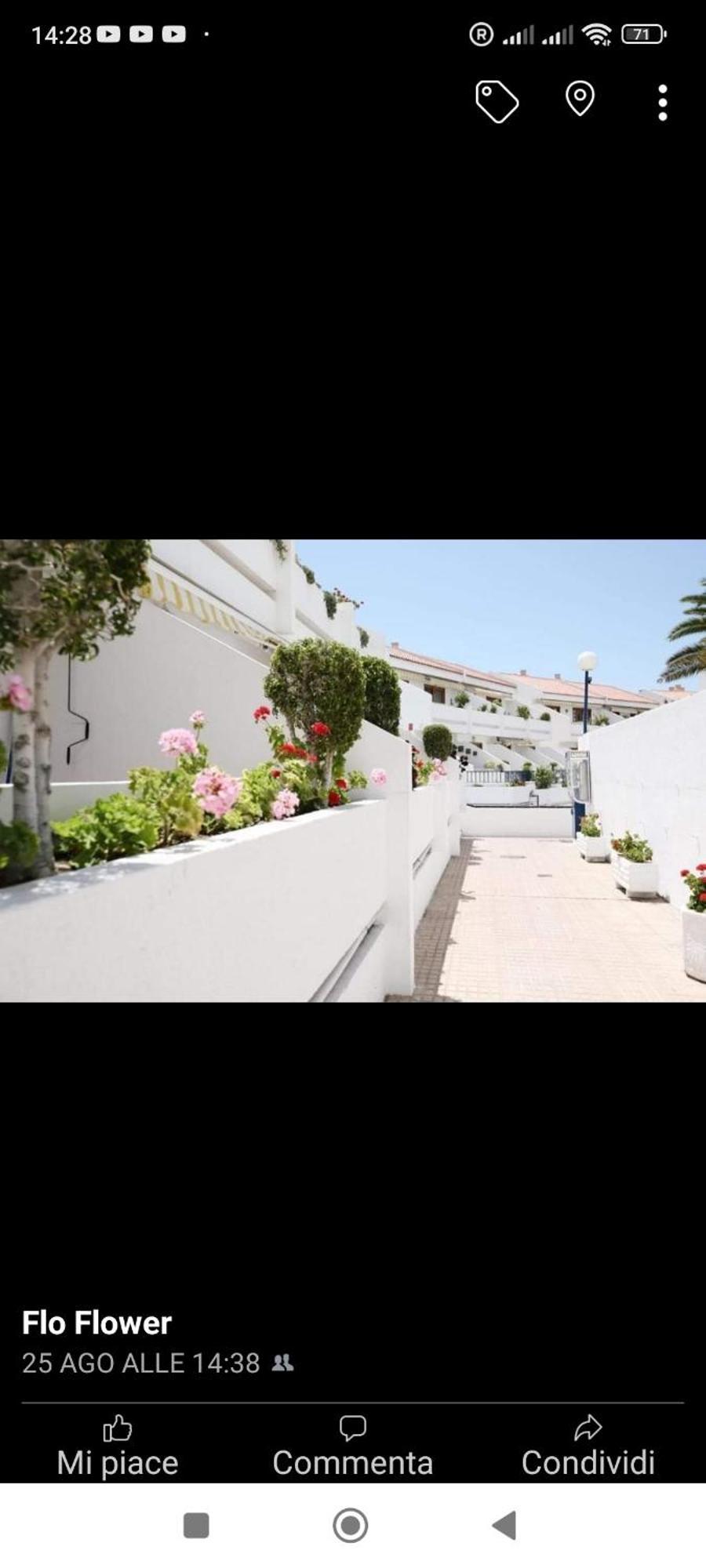 Garden City Costa Adeje  Eksteriør bilde